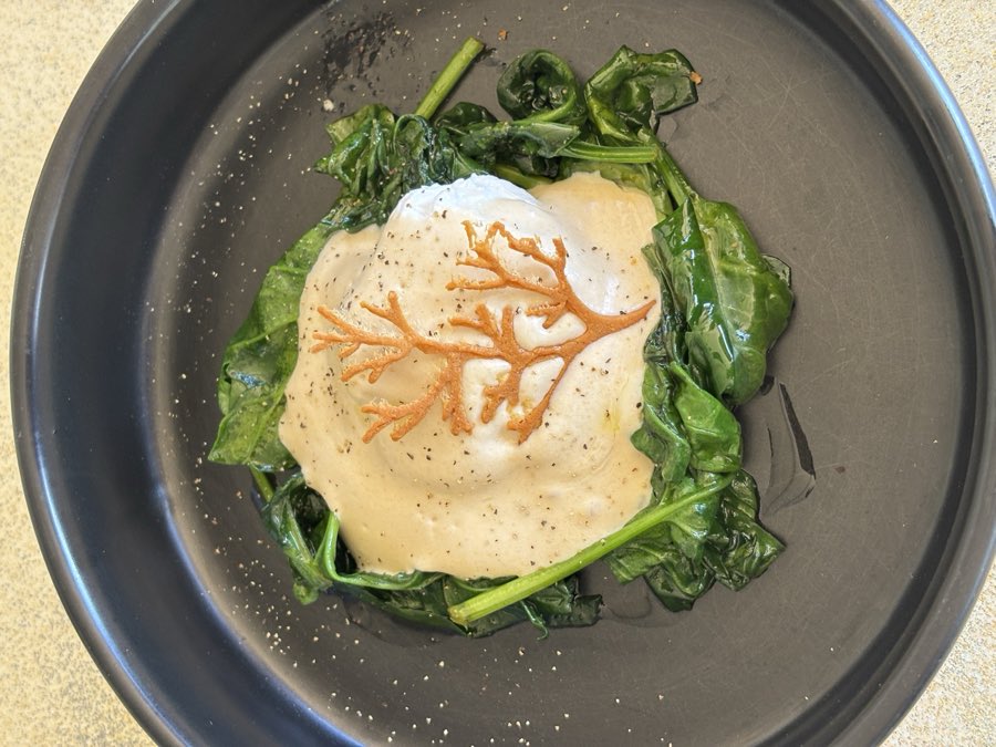 Poached egg on spinach with parmesan cream